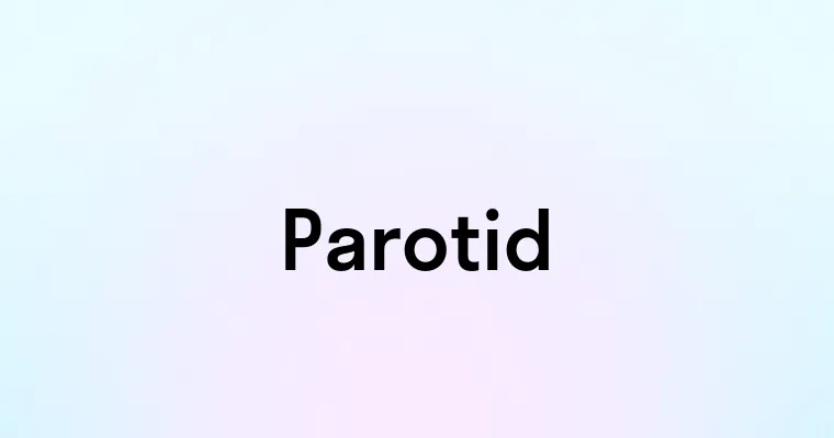 Parotid