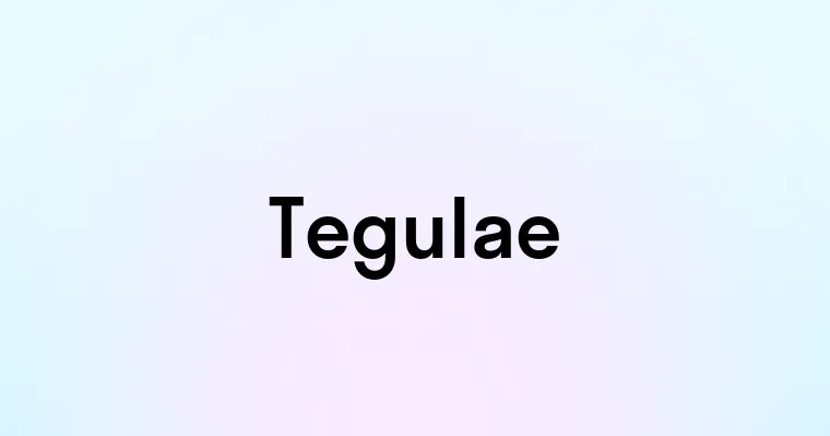 Tegulae