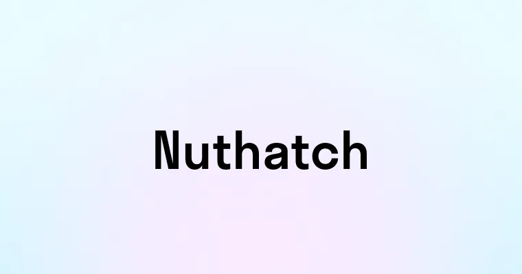 Nuthatch