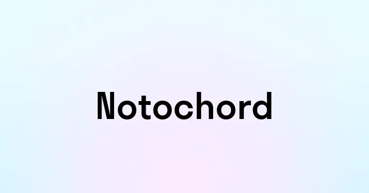 Notochord