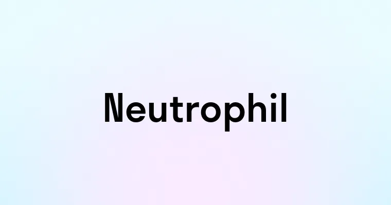 Neutrophil