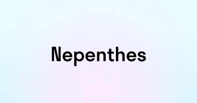 Nepenthes