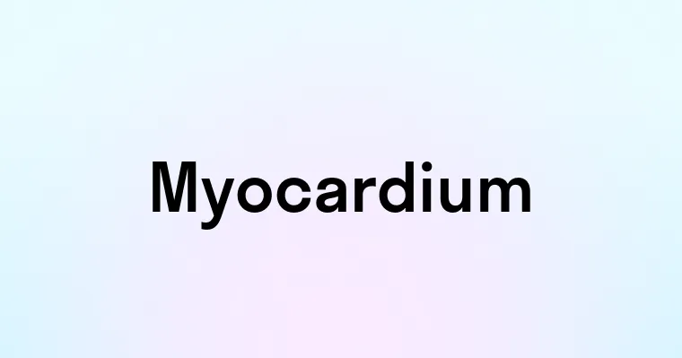 Myocardium