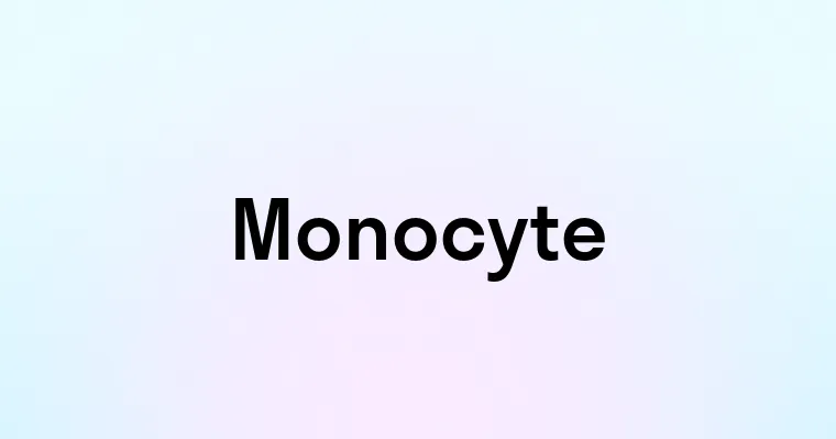 Monocyte