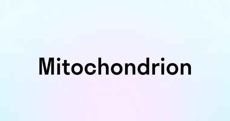 Mitochondrion