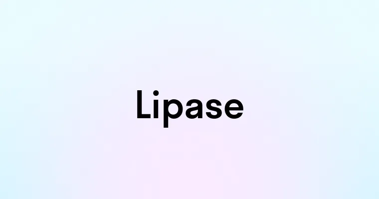 Lipase