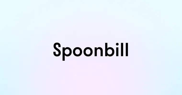 Spoonbill