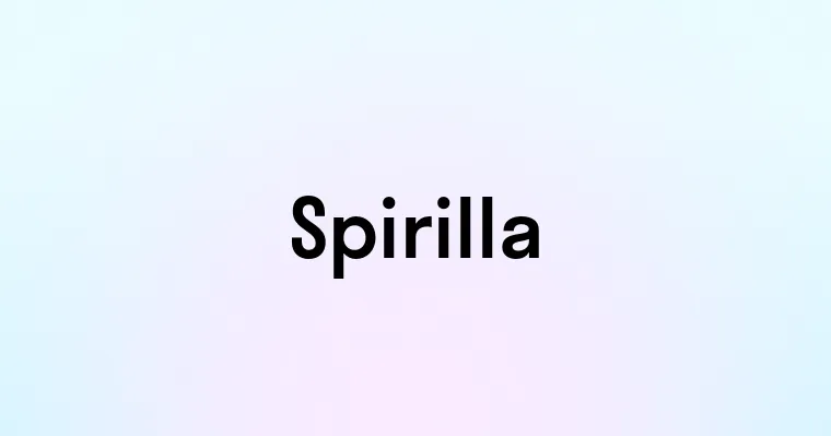 Spirilla