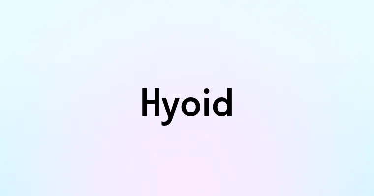 Hyoid