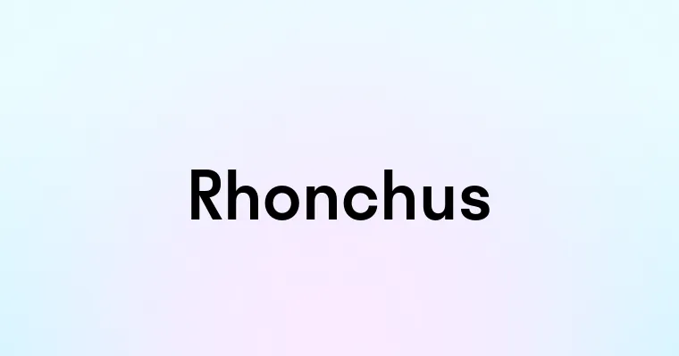 Rhonchus