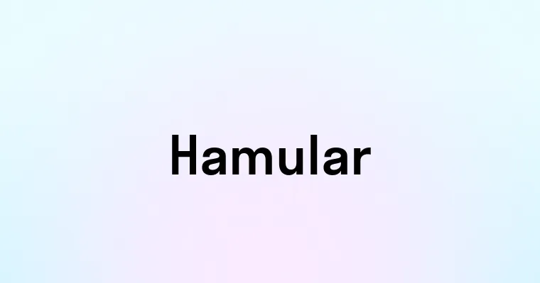 Hamular