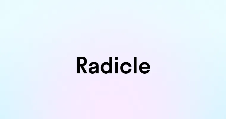 Radicle