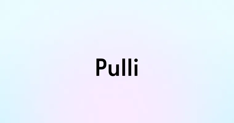 Pulli