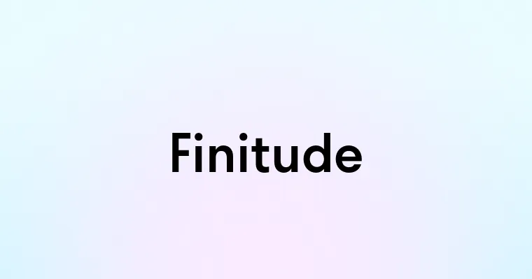 Finitude