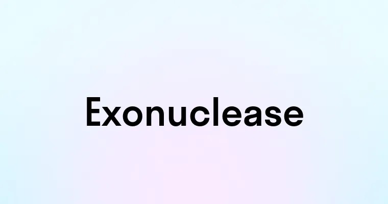 Exonuclease