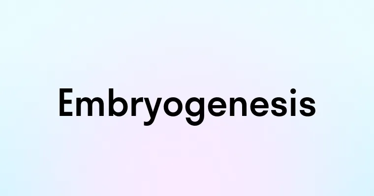 Embryogenesis