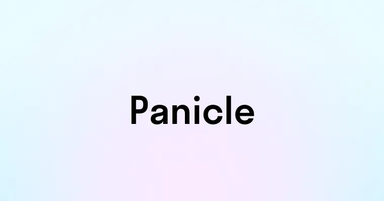 Panicle