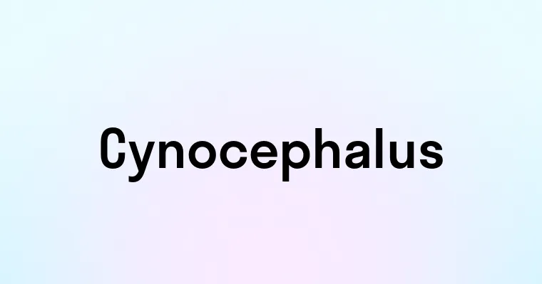 Cynocephalus