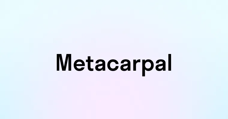 Metacarpal