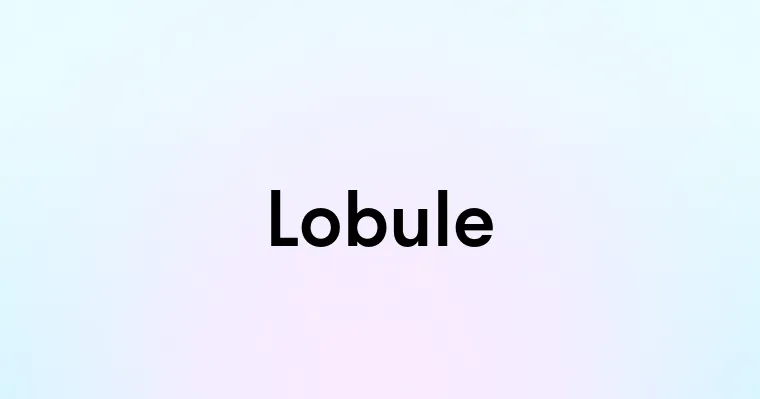 Lobule