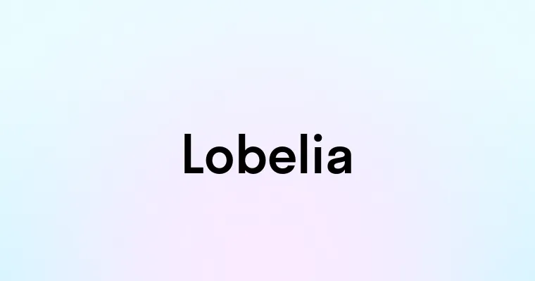 Lobelia