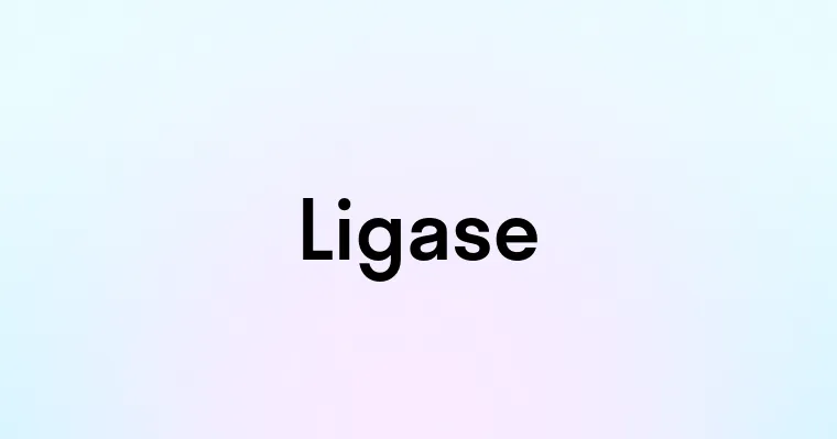 Ligase