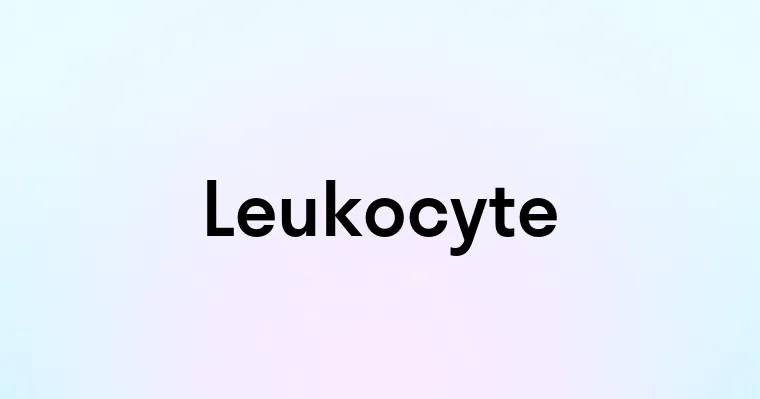 Leukocyte