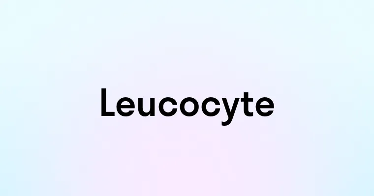 Leucocyte