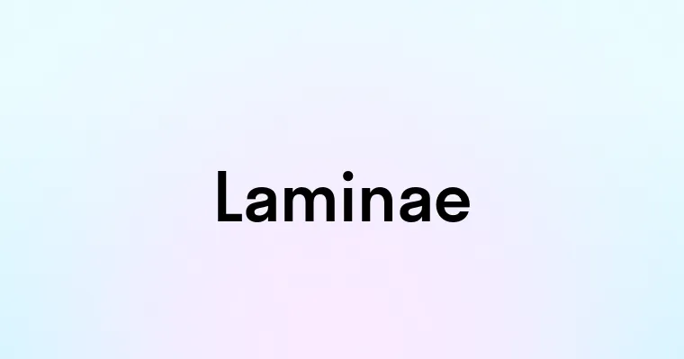 Laminae