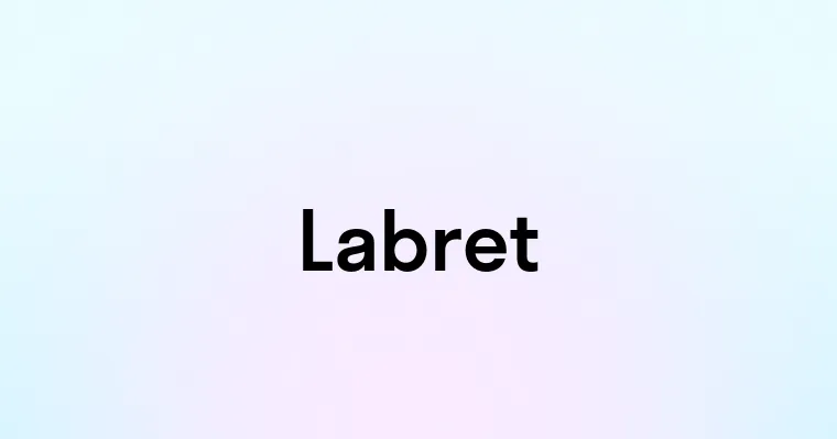 Labret