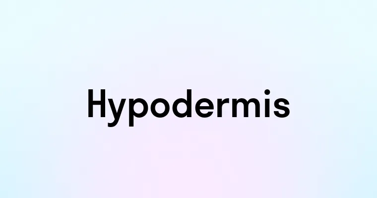 Hypodermis