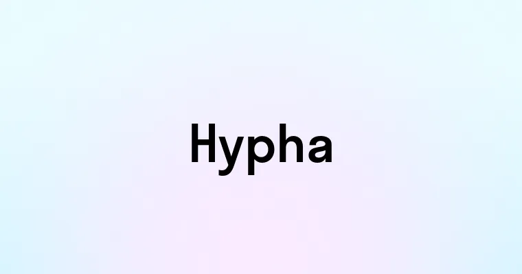 Hypha