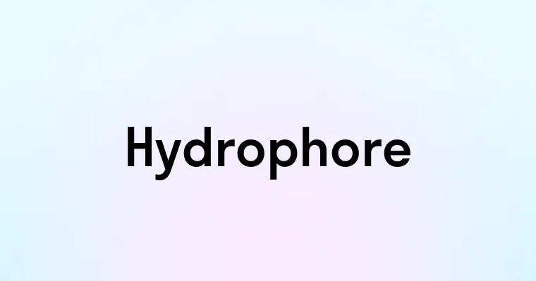 Hydrophore