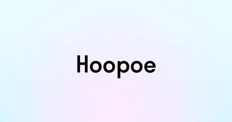 Hoopoe