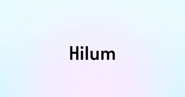 Hilum