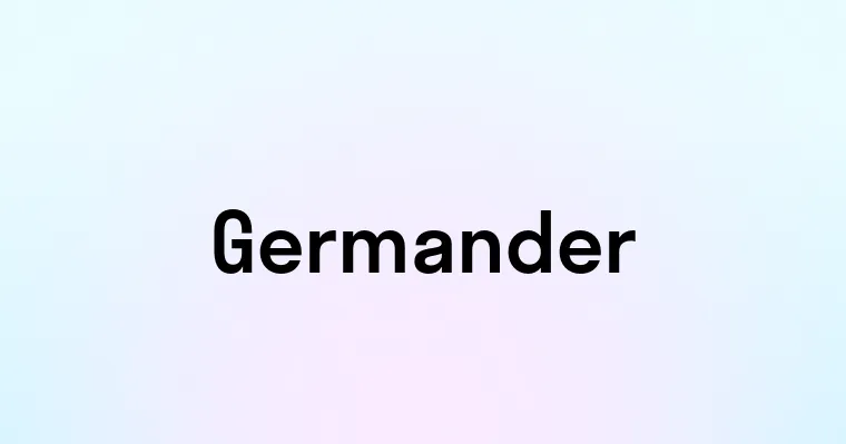 Germander