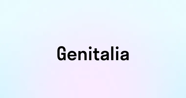 Genitalia