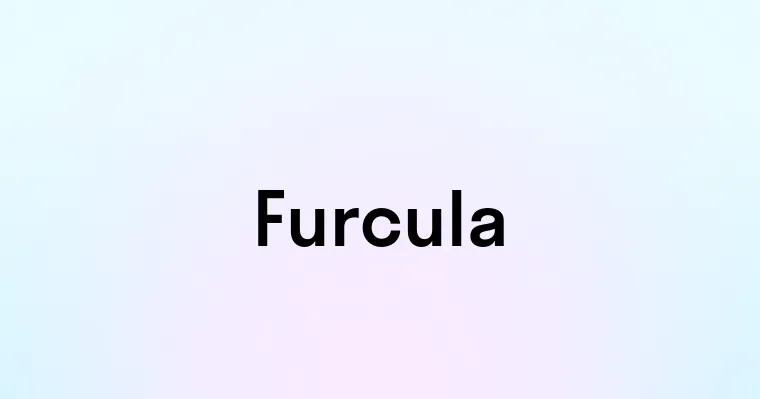 Furcula