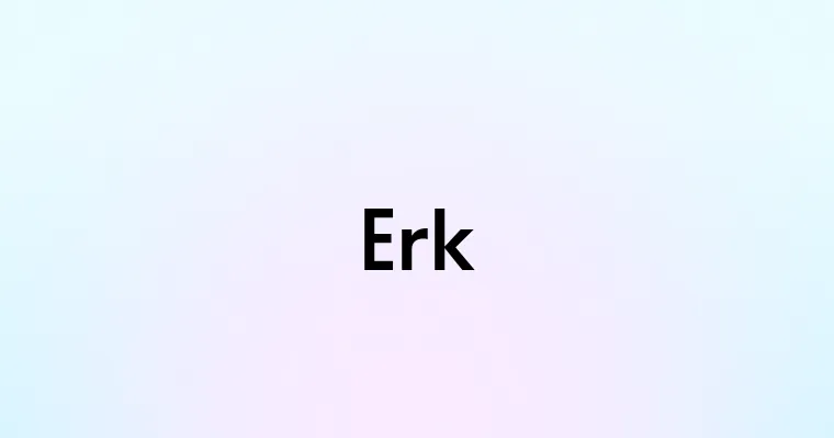 Erk