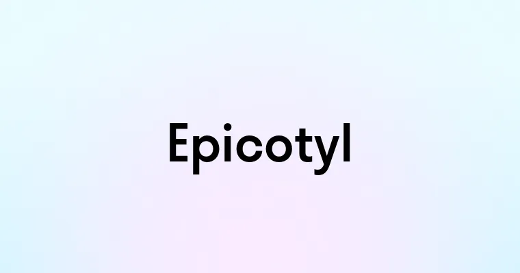 Epicotyl