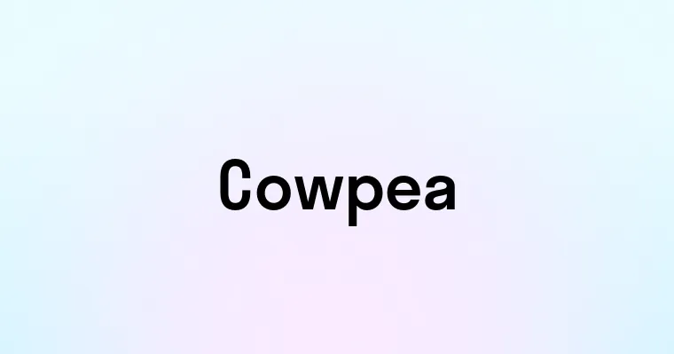 Cowpea