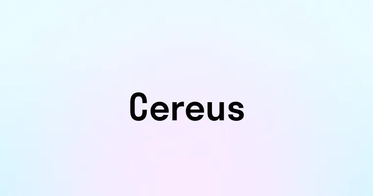 Cereus