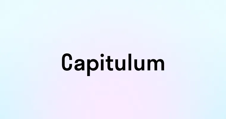 Capitulum