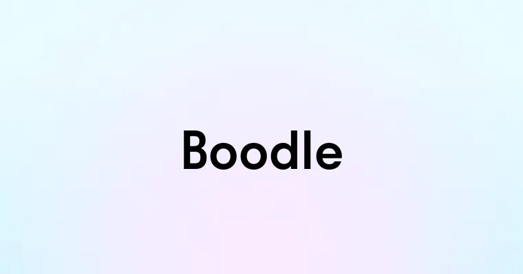 Boodle