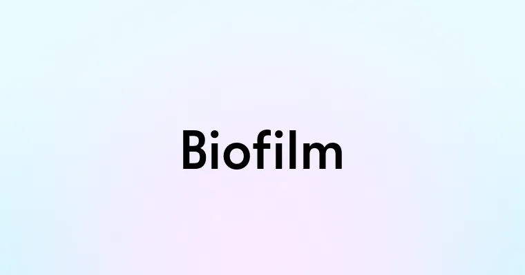 Biofilm