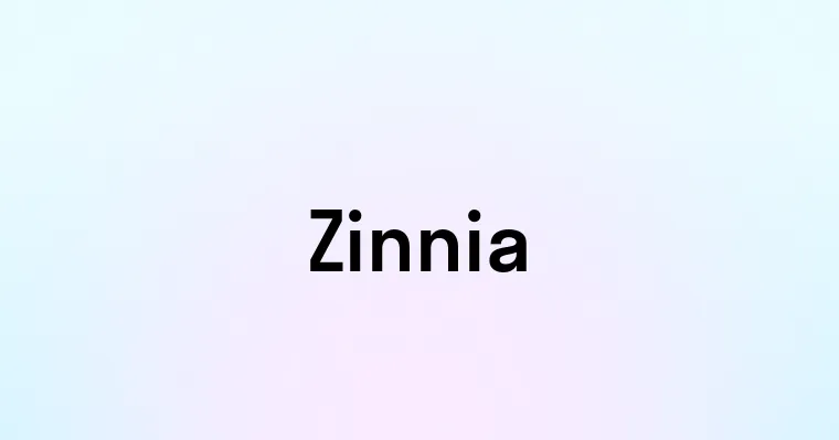 Zinnia