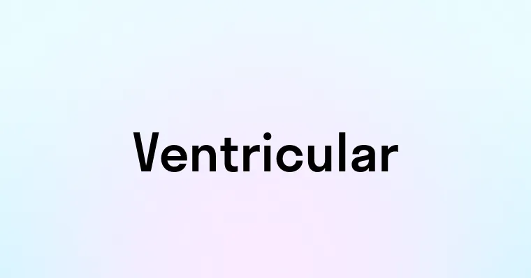 Ventricular