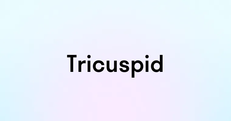 Tricuspid