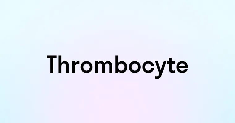 Thrombocyte