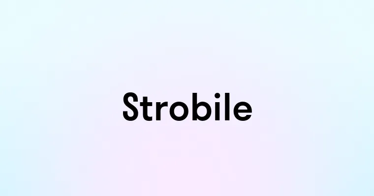 Strobile